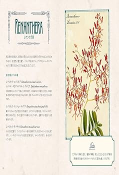 魅惑の蘭事典 世界のオーキッドと秘密の物語 | 江尻 宗一, ラスティカ 魅惑の蘭事典 世界のオーキッドと秘密の物語 | 江尻 宗一, ラスティカ